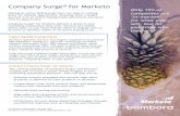 Company Surge for Marketo · Company Surge®for Marketo delivers a boost to your marketing automation data with relevant and timely Intent data, so you know exactly when to engage