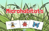 Thursday 18th June 2020 · Microhabitats Enquiry - Survey Look carefrallg at your two habitats. Count up the number oj each kind oj minibeast that youftnd there. Minibeast