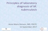 Principles of laboratory diagnosis of M. tuberculosis...Principles of laboratory diagnosis of M. tuberculosis Anne-Marie Demers, MD, FRCPC 11 September 2017 QUESTION Which statement