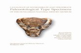 CATALOGUE OF INVERTEBRATE AND …...The paleontological literature, in which the invertebrate and vertebrate taxa represented by types originally or subsequently deposited in the HNHM