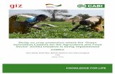 Study on crop protection where the ‘Green Innovation Centres for … · Study on crop protection where the ‘Green Innovation Centres for the Agriculture and Food Sector’ (GIAE)