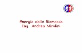 Energia dalle Biomasse Ing. Andrea Nicolini - CIRIAF · 2015-12-22 · Energia per evaporazione (kWh/ha∙anno) Resa energetica netta (kWh/ha∙anno) PIOPPO 30 50% 17.581 73.255,0