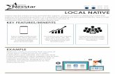 LOCAL NATIVE · LOCAL NATIVE Native ads are meant to look and feel like organic content. Content is distributed within the editorial and advertising sections of a website by adopting