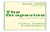 Grapevine June 2020 Draft E - eastonparishcouncil.co.uk€¦ · Asthma. Arthritis. IBS. Stress. Insomnia. Headaches. Infertility. Gynae Disorders. Facial Rejuvenation 01603 881376