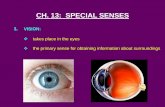 CH. 13: SPECIAL SENSES senses notes - eye - day 1.pdfCH. 13: SPECIAL SENSES the primary sense for obtaining information about surroundings. A. Accessory Organs of the Eye: 1. Eyelids: