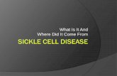 What Is It And Where Did It Come From · What is Sickle Cell Disease? Sickle cell disease is a disease of the blood It is due to an abnormal hemoglobin (the red pigment of blood)