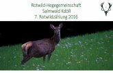Rotwild-Hegegemeinschaft...Rotwild (in Summe 1.978 Stück bzw. durchschnittlich 283 Stück) und hierbei zwischen 48 und 67 (in Summe 409 bzw. durchschnittlich 58) Hirsche erlegt. In