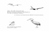THE NORTH AMERICAN BIRD CONSERVATION INITIATIVE IN THE ... · The vision of the North American Bird Conservation Initiative in the United States (NABCI-US), for the enjoyment of current