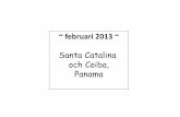 Santa Catalina och Coiba, Panama · 2013-03-12 · med Coiba Dive Center. Tre dyk per dag, två nätter på ”ranger station” på Utanför Santa Catalina ligger ön Coiba. Stor