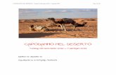 Capodanno nel deserto - Tunisia 2012-2013 · PDF file 2017-01-17 · CAPODANNO NEL DESERTO Tunisia 26 dicembre 2012 – 7 gennaio 2013 Pag. 3 di 10 il sepolcro) portava sempre con