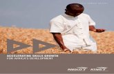 ACCELERATING SKILLS GROWTH FOR AFRICA’S …...ACCELERATING SKILLS GROWTH FOR AFRICA’S DEVELOPMENT. ... like to thank the African Governments, Management of the UNDP, IFC, AfDB,