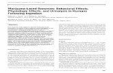 Marijuana-Laced Brownies: Behavioral Effects, Physiologic ... · brownies In a double-blind crossover study designed to test for behavioral effects, physiologic effects, and urinary