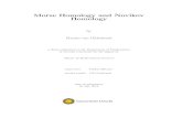 Morse Homology and Novikov Homologyzilte001/2015... · Morse theory and Morse homology give a way to study the topological properties of a manifold by studying Morse functions on