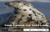 THE LAWS OF NATURE - BirdLife International...Wild Wonders of Europe / Staffan Widstrand / WWF Thanks to the Nature Directives, threatened species such as the brown bear, the wolf,