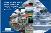 NEW YORK CITY 2003 Drinking Water Supply and …Combined Sewer Overflow Paerdegat Basin Combined Sewer Overflow Brooklyn/Queens Section of Water Tunnel No. 3 Shaft Work and Water Main