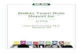 Belbin Team Role Report for - Leadership Solutions and Belbin NZ · 2018-10-25 · to speak out on important subjects and can handle controversial issues. If you can do this in a