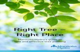 Right Tree Right Place - Manitoba Hydro · 2020-02-12 · Planting can be hard work and the tree can last a lifetime. You want to do it right. We can help. Manitoba Hydro’s Right