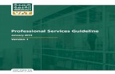 Professional Services Guideline...Professional services is not a defined term for VAT purposes. In this guideline, professional services are consultancy and similar services characterized