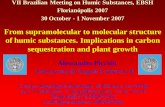 From supramolecular to molecular structure of …...From supramolecular to molecular structure of humic substances. Implications in carbon sequestration and plant growth Centro Interdipartimentale