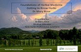 Foundations of Herbal Medicine Getting to Know Herbs Dr ... · Essential Oils: Aromatic volatile oils extracted from the leaves, ... mixed allowing for absorption from the surface