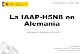 La IAAP-H5N8 en Alemania...Familia Orthomyxoviridae Influenzavirus: A, B y C -M1 constituye matriz proteica -PB1, PB2 y PA. (Proteínas internas) NS1 y NS2 en la célula infectada