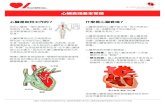 心臟衰竭基本常識 - Cardiac Services BC HF (T.Chinese).pdf · 這樣一來，身體就得不到必需的血、 氧氣、營養來有效工作。 心臟衰竭通常會愈來愈嚴重。當心臟衰竭