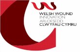 Health & Wealth For Wales Health & Wealth for Wales · ““Health & Wealth For WalesHealth & Wealth for Wales” ” Innovation – Statements of Note Sometimes when you innovate