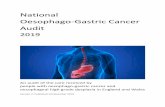 National Oesophago-Gastric Cancer Audit · PDF file Oesophago-gastric cancer: key findings The 134 NHS organisations in England and Wales providing OG cancer care submitted records