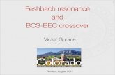 Feshbach resonance and BCS-BEC crossover · 2012-08-20 · RG picture of the BCS-BEC crossover 25 µ Interaction strength Unitary Vacuum critical point Noninteracting Fermi gas ﬁxed