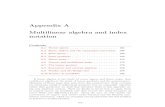 Appendix A Multilinear algebra and index notationwendl/pub/connections_appe… · If linear algebra is the study of vector spaces and linear maps, then multilinear algebra is the