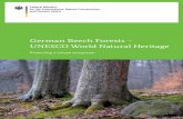 German Beech Forests – UNESCO World Natural Heritage · These German regions, with their lowland and low montane beech forests, are an ideal complement to the montane beech forests