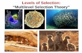 Levels of Selection: “Multilevel Selection Theory”hydrodictyon.eeb.uconn.edu/eebedia/images/e/ed/EEB2245... · 2014-04-19 · Kin Selection 1. Kin selection (William D. Hamilton,