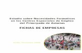 Estudio sobre Necesidades Formativas en los …...Estudio de Necesidades Formativas en los Centros Especiales de Empleo del Principado de Asturias Calle: C/ Manuel Llaneza 31 CP: 33600