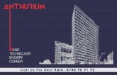 Anthuriumanthurium.co.in/images/Anthurium_brochure.pdf · 2019-09-28 · The Iconic Corenthum Prolect ConstX-lts M/S Holistics IJtoan Innovatiors PR Ltd M/S Balaii Solutions MORE