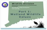 Amy Marrella, Acting Commissioner …...Wetlands Classification System utilized in this presentation classifies wetland types by soils, hydrology, and vegetation. In CT, wetlands,