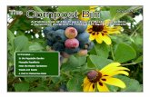 The Compost Bin July 2015 - Travis County Master Gardeners … · 2015-06-30 · The Compost Bin July 2015 Page 3 July is a good month to go dormant in the vegetable garden. That