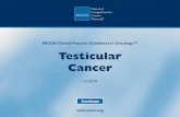 Practice Guidelines in Oncology · Summary of changes in the 1.2010 version of the Testicular Cancer Guidelines from the 2.2009 version include: Seminoma Residual mass, positive PET