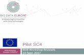 Pilot SC4 - Big Data Europe · Stream and Batch Processor BDE Workshop Brussels ... Apache Flink is an open source platform for distributed stream and batch data processing. Apache