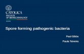 Spore forming pathogenic bacteria - FooD-STA...Spore forming bacteria Basic characteristics All species produce endospores that are heat, chemical and radiation resistant to different