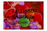 5 TISSU SANGUIN DIAPOSuniv.ency-education.com/uploads/1/3/1/0/13102001/histo1an-tissu... · HEMATIES 4.8 - 5.4 106 / mm3 LEUCOCYTES 5 - 10 103 / mm3 PLAQUETTES 250 - 400 103 / mm3