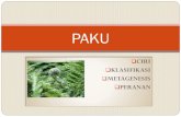 PAKU - ... 2019/07/02  · Pakis haji , Gymnospermae Paku Tiang, Pteridophyta ZAMAN KARBON Tumbuhan paku pernah menjadi vegetasi utama di bumi, disebut zaman paku Kayu tumbuhan paku