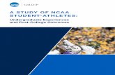 A STUDY OF NCAA STUDENT-ATHLETES · measure for assessing whether people are leading meaningful lives. Wellbeing is a holistic measure that encompasses many aspects of life such as