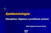 BIOESTATÍSTICA APLICADA À EPIDEMIOLOGIAwp.ufpel.edu.br/ccz/files/2016/03/Introducao-ao-estudo... · 2017-05-27 · Epidemiologia Conceito: epi (sobre) + demo (povo) – Estudo da
