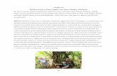 Phellinus noxius in Guam, Saipan, Yap, Palau, …...Sterculia nobilis (ping-pong) 20. Vitis vinifera (grape) Ornamental trees 21. Acacia confusa (Taiwan acacia) 22. Actinodaphne pedicellata