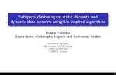 Subspace clustering on static datasets and dynamic data streams …€¦ · Results : Real data (e.g., Shape dataset) CLIQUE DOC MINECLUS SCHISM SUBCLU FIRES INSCY PROCLUS ⇤ P3C