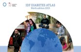 Presentation of the new IDF DIABETES ATLAS · 2019-12-04 · Total diabetes-related health expenditure for adults (20–79 years) with diabetes Age-sex standardised incidence rates