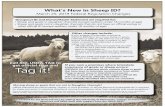 What’s New in Sheep ID? - USDA-APHIS...Official Individual ID (official eartag, registry or flock ID tattoo, or official Electronic Implantable ID) is required for sheep and goats