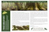 FRANCIS BEIDLER FOREST - Carolina Wetlandscarolinawetlands.org/wp-content/uploads/2016/04/Francis... · 2016-04-03 · Francis Beidler Forest. Audubon Society has been working to