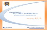 CATALOGO - Consorzio il Nodoconsorzioilnodo.it/wp-content/uploads/2018/10/... · Il consorzio opera nell’ambito dei servizi, della ricerca, della sperimentazione, della formazione