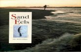Ed Mitchell Outdoors | Fresh & Saltwater Fly Fishing, Fly ... Eels 1991.pdf · the foods bluefish and stripers eat near shore and sand eels are easy to match with a fly. Unlike many